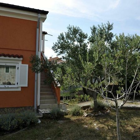 Apartman Branka Kornić Eksteriør bilde